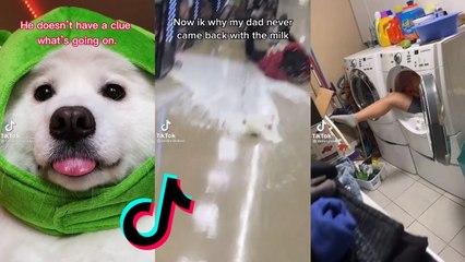 Funny TikToks to watch instead of sleeping