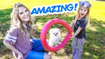 TEACHING OUR PUPPY THE CUTEST TRICKS EVER!!! (HIRED PROFESSIONAL DOG TRAINER)