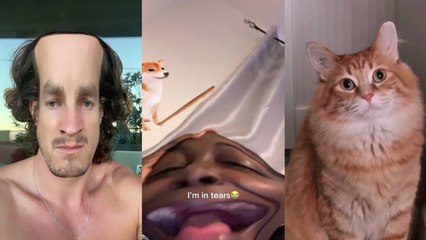 Funny TikToks For Those Who Don't Have TikTok