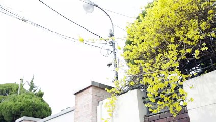 친구들과 걷는 중 신발 끈 풀렸을 때 대처법