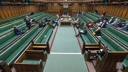 Lee Anderson speaks in the House of Commons