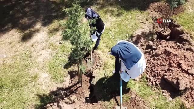 Pendik'te hemşireler Koşuyolu Hatıra Ormanı na 200 fidan dikti