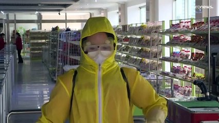 Primeiro surto de covid-19 registado na Coreia do Norte