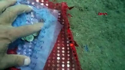 Hıdırellez dilekleri de değişti: Dudağa dolgu, Bodrum'da yazlık ev