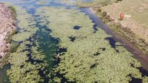 Son dakika haber! Hatay'ın nazar boncuğu olarak bilinen Gölbaşı gölü turizme kazandırma çalışmaları sürüyor