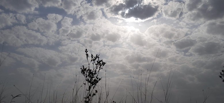 heat vev-धरियावद में टूटा 11 सालों का रिकॉर्ड, पारा पहुंचा 47 के पार,