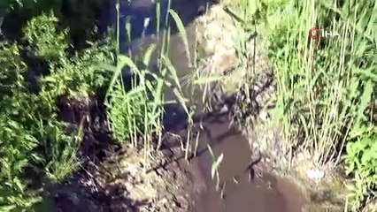 Köylüler derelerini kirleten işletmelere caydırıcı yaptırım uygulanmasını istiyorlar