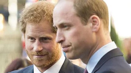Harry's hopes dashed over plan to use Jubilee visit to 'figure something out' with William