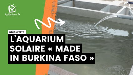 L’aquarium solaire « made in Burkina Faso »