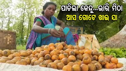 Markets flooded with Kendu fruit in Sundargarh