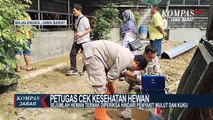 Hewan Di Periksa, Cegah Penyakit Mulut Dan Kuku