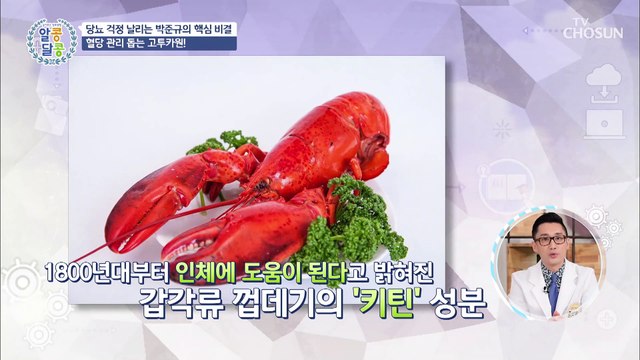 체내 흡수율⬆ 포도당 흡수를 막아주는 ▶고투카원◀ TV CHOSUN 20220512 방송