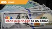 Economists disagree with Dr M’s proposal to peg ringgit to US dollar