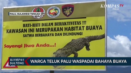 Warga Teluk Palu Waspadai Bahaya Buaya