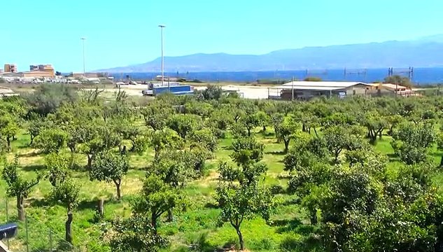 DEPOSITO GAS, AUTORITA' PORTUALE “INCOMPETENTE”