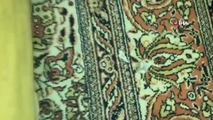 8 adrese eş zamanlı uyuşturucu operasyonu: 32 kişi yakalandı