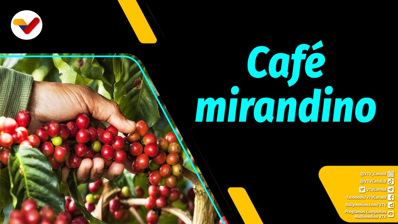 Al Aire | Café mirandino gana primer lugar en el Encuentro Internacional de Cafés de Especialidad Venezolano