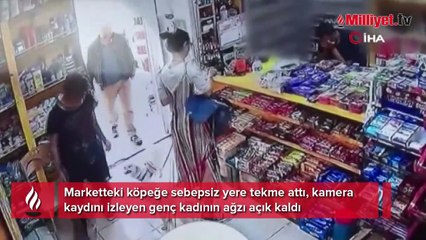 Marketteki köpeğe sebepsiz yere tekme attı, genç kadının ağzı açık kaldı