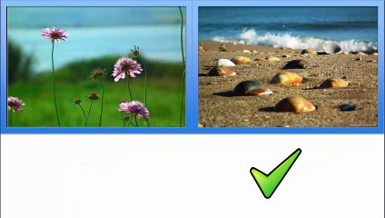 Test de mémoire _ 20 images pour tester sa  mémoire(720P_HD)