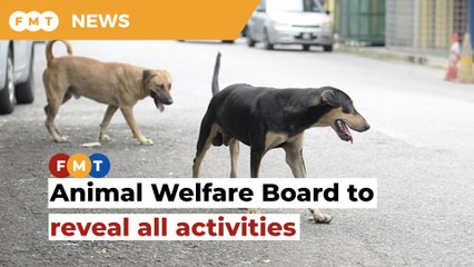 Animal Welfare Board told to reveal activities ‘protected’ by OSA