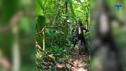 Top 35 Most Incredible Like A Boss Moments Caught On Camera  AMAZING FUNNY VIDEOS