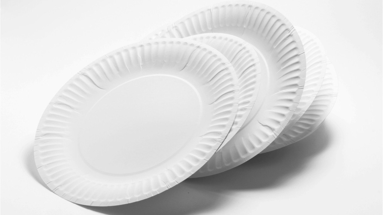 Wie Sie Pappteller richtig entsorgen