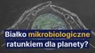 Białko mikrobiologiczne ratunkiem dla planety?