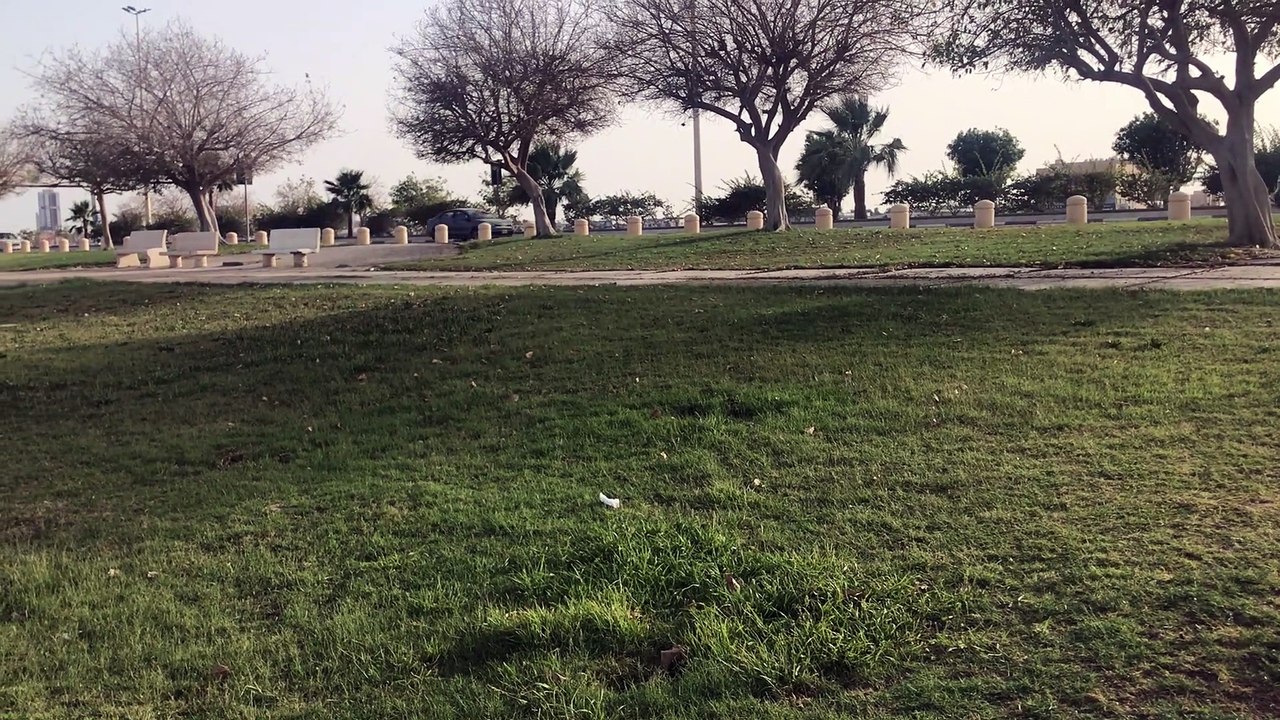 الخبر#