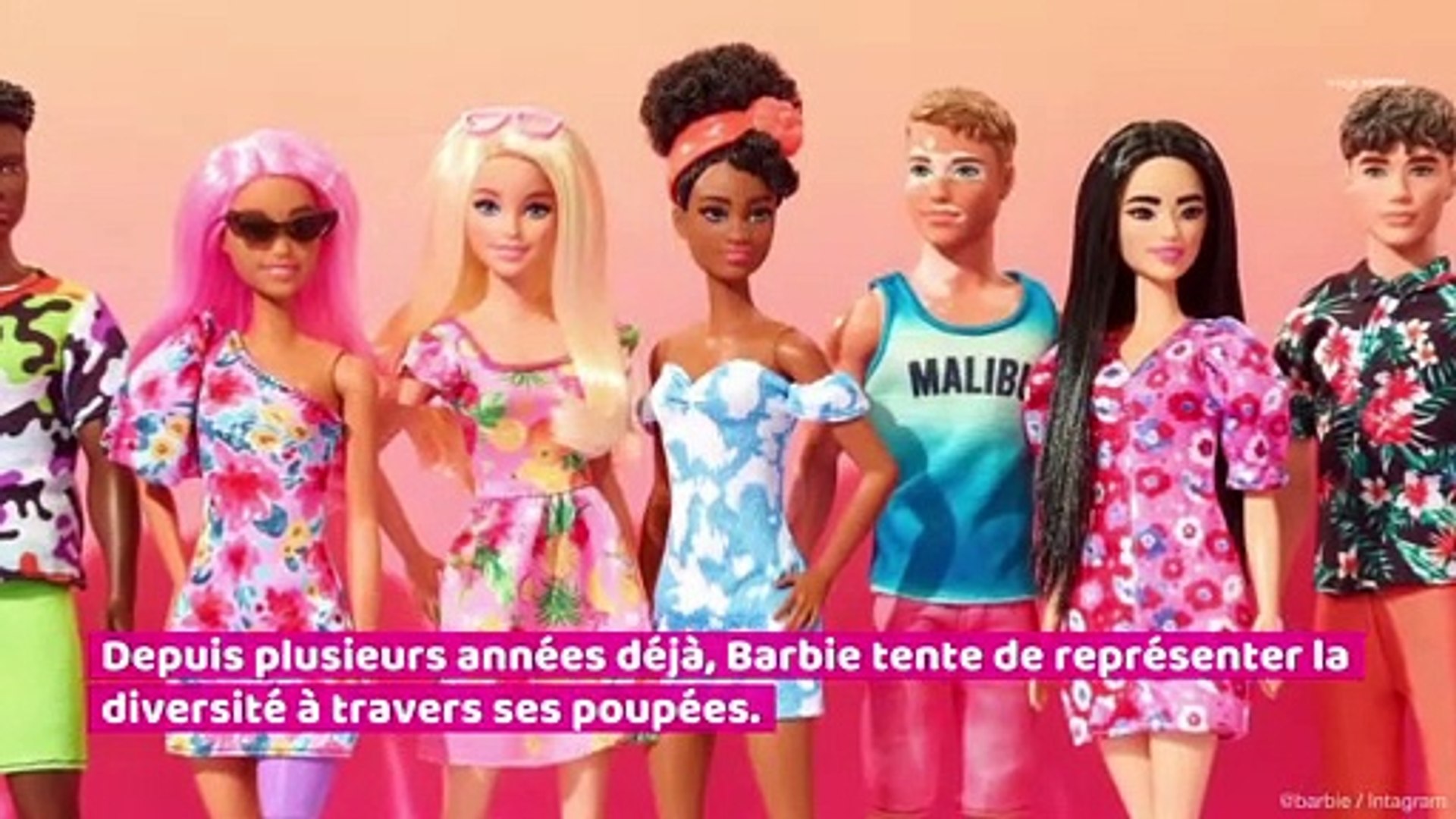 Barbie dévoile deux nouvelles poupées inclusives ! - Vidéo Dailymotion