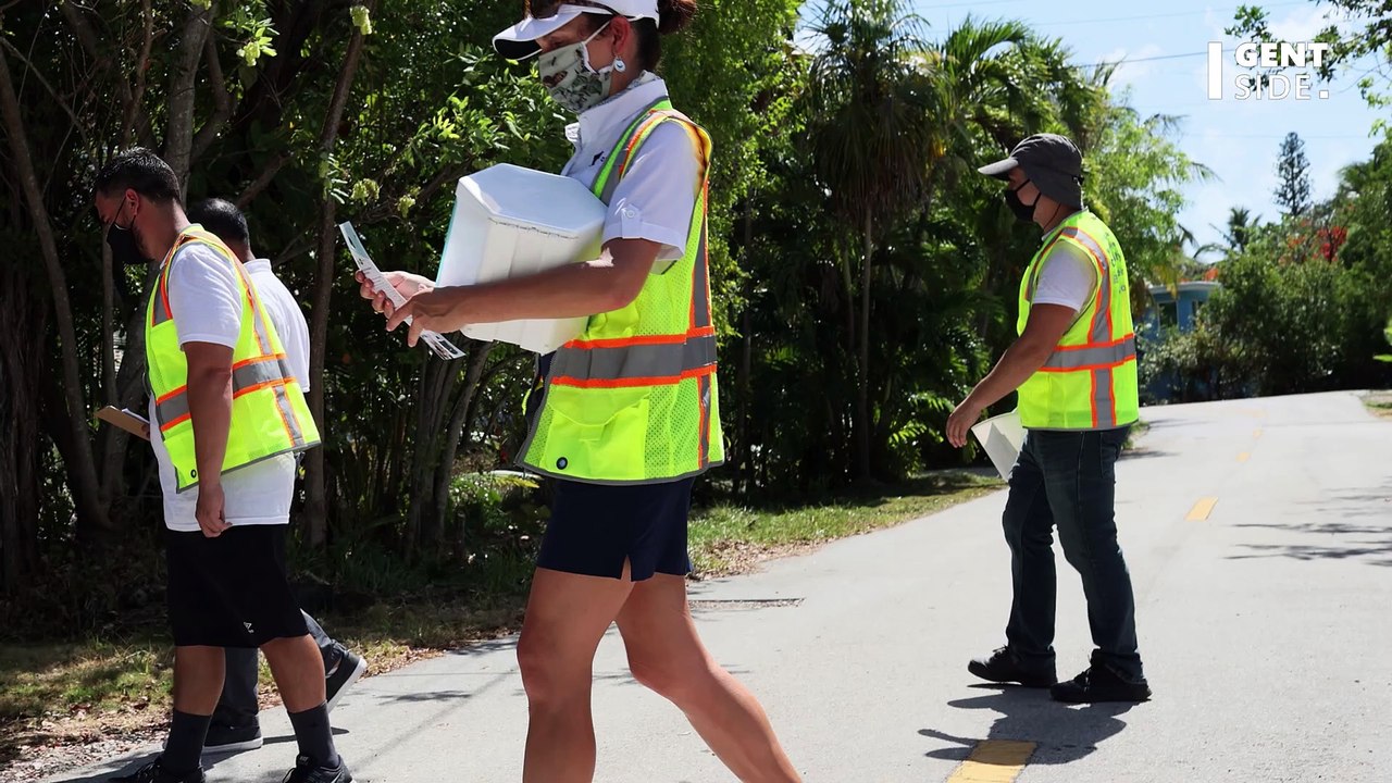 Genmanipulierte Mücken sollen Zika-Virus bekämpfen