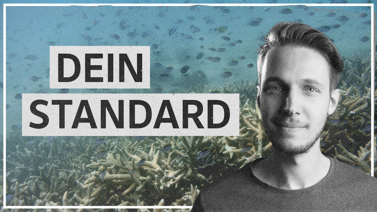 Der Nachrichtenüberblick vom 12. Mai