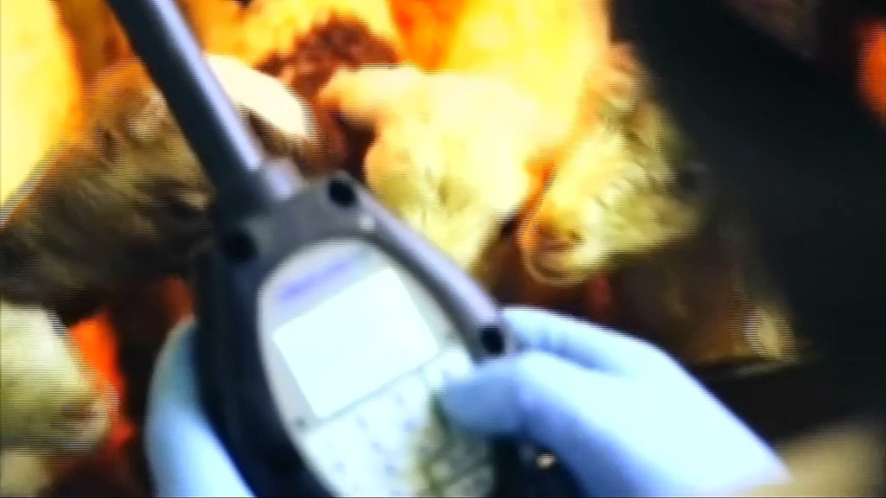 Σε αδιέξοδο οι κτηνοτρόφοι της Φθιώτιδας - Προβλήματα έχουν δημιουργήσει οι δασικοί χάρτες