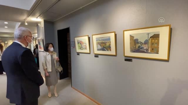 Ressam Miyazawa Takeşi'nin Türkiye Seyahati resim sergisi Tokyo'da açıldı