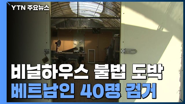 밤마다 차량 늘어선 수상한 비닐하우스...'25억대 도박판' 벌인 베트남인들 / YTN
