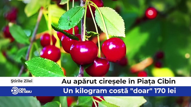 Știrile zilei la Sibiu - Au apărut cireșele în Piața Cibin - Un kilogram costă doar 170 lei, Transportul în Zona Metropolitană Sibiu va fi deservit de 36 de autobuze electrice şi Marcel Manea campion european la Culturism