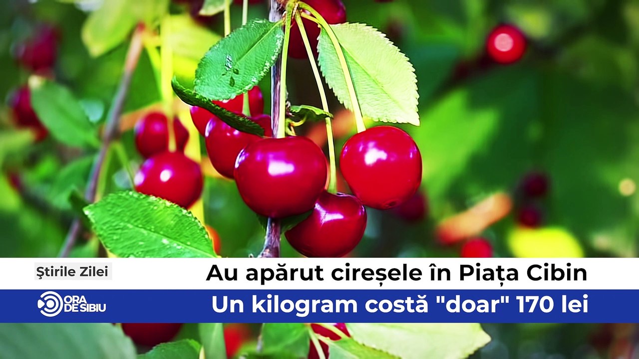 Știrile zilei la Sibiu - Au apărut cireșele în Piața Cibin - Un kilogram costă "doar" 170 lei, Transportul în Zona Metropolitană Sibiu va fi deservit de 36 de autobuze electrice şi Marcel Manea campion european la Culturism