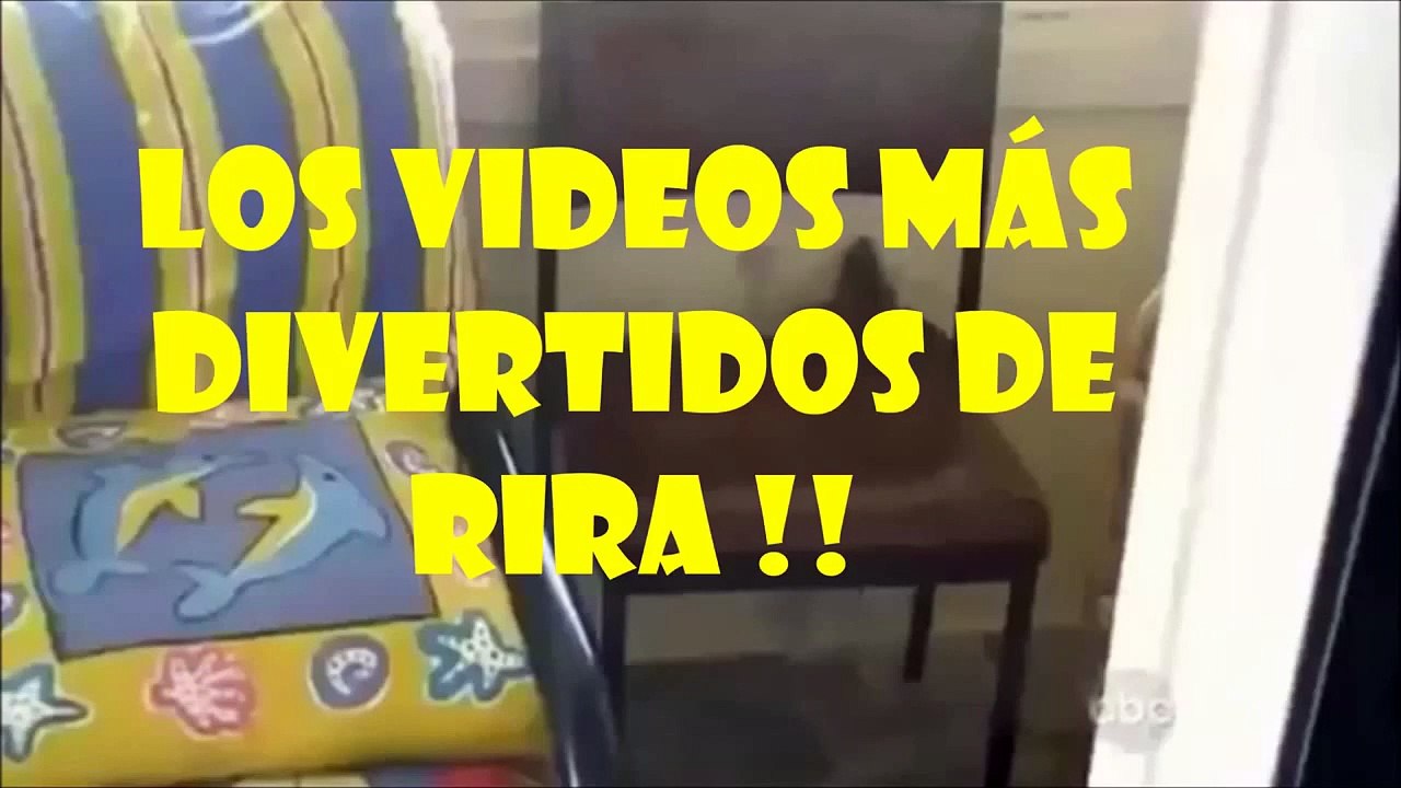 Videos graciosos   Mejores videos de risa 2022 NUMERO 42