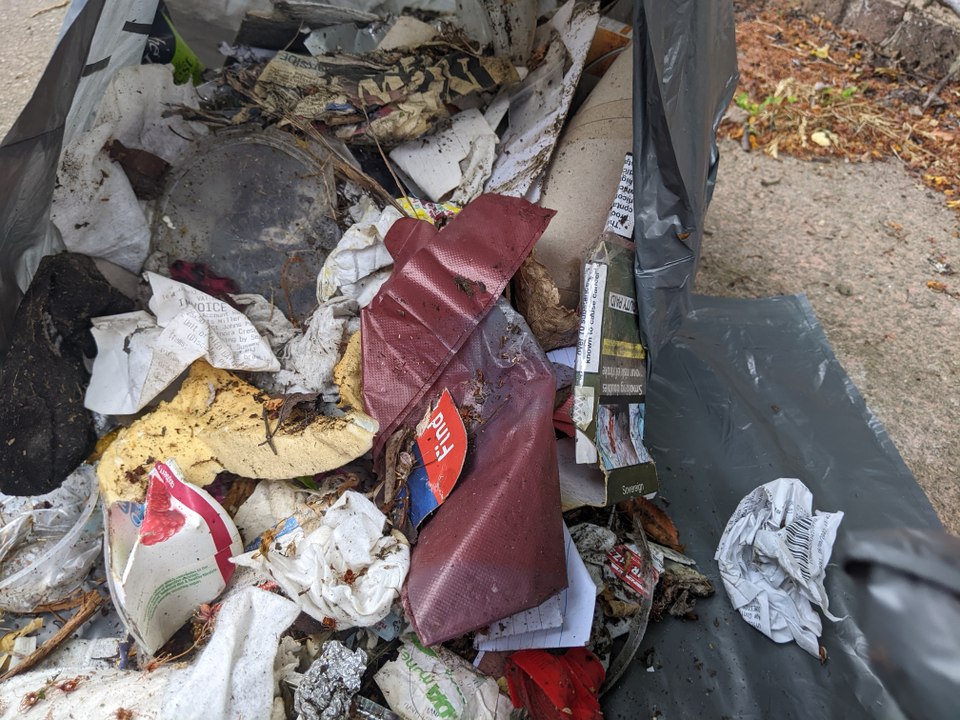 Litter picking in Worthing