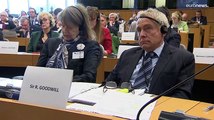 MEPs meet with UK lawmakers to discuss Ukraine war and Brexit
