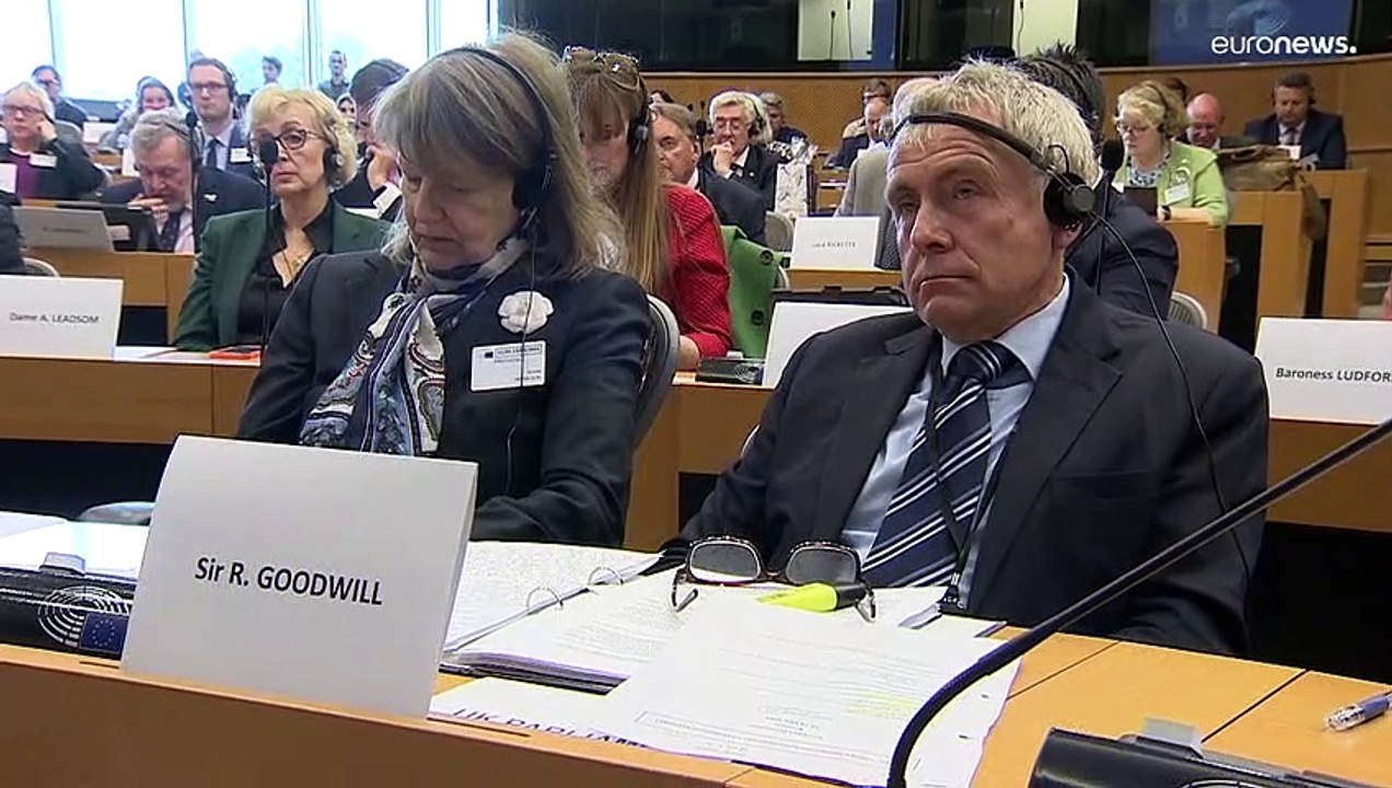 MEPs meet with UK lawmakers to discuss Ukraine war and Brexit