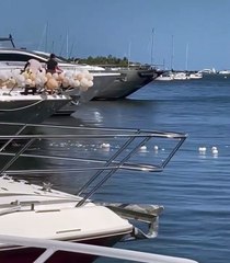 Ils balancent des ballons d'un yacht dans la mer... sympa, la pollution