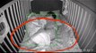 Bebita fue empujada mientras dormía... ¡Por un fantasma!