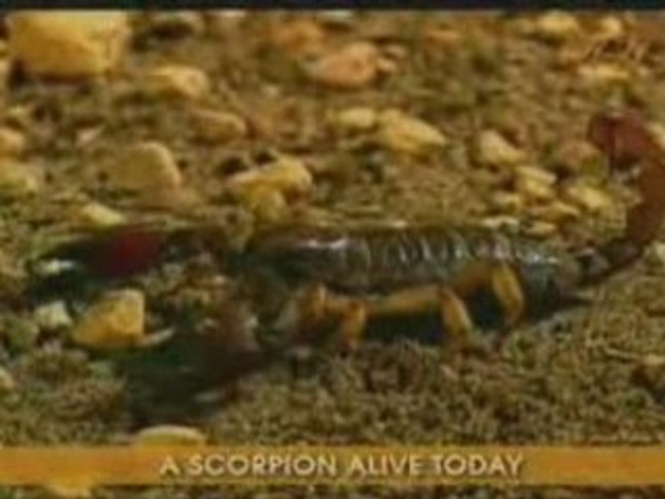 How Fossils Overturned Evolution