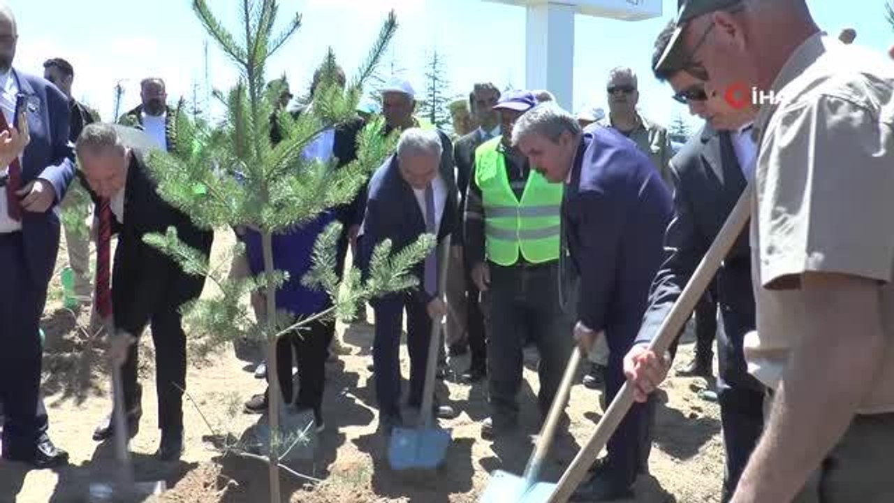 Muhsin Yazıcıoğlu Hatıra Ormanı'na bin sedir ve karaçam fidanı dikildi