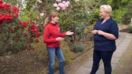 The Beechgrove Garden 2022 episode 6