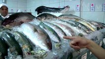 Aprenda como escolher um bom peixe