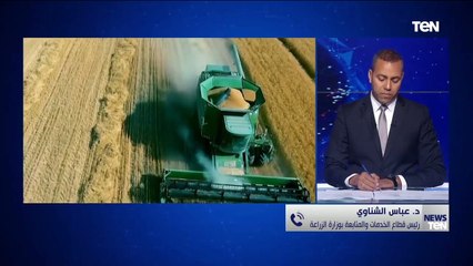 قطاع الخدمات والمتابعة بوزارة الزراعة: منذ أكثر من 40 عاماً لم نشهد موسماً للقمح مثل هذا الموسم