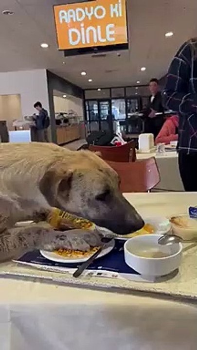 Aşısız öğrencileri yurda bile sokmayan rektör bu işe ne der? Üniversite yemekhanesinde skandal görüntüler!