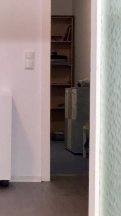 Nothing is Cuter Than my Cat Walking at me