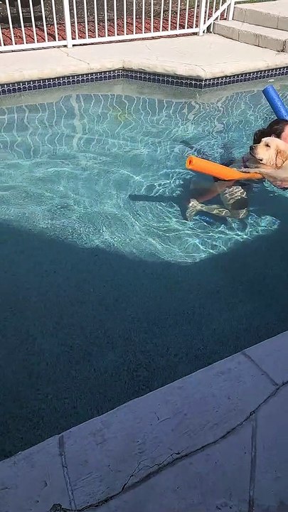 Using Pool Noodles to Keep Golden Floating While Cuddling